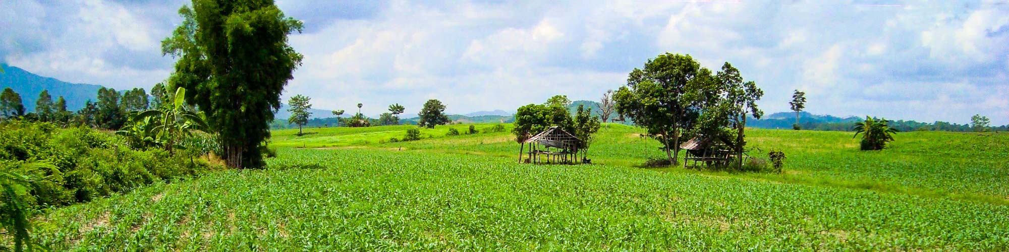 Chiang Saen, Chiang Rai, Thailand: Commercial land near town and transport routes