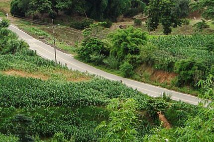 Chiang Khong, Chiang Rai