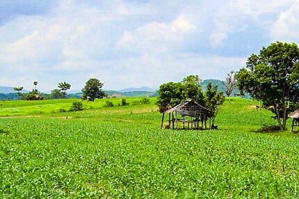 Chiang Saen, Chiang Rai