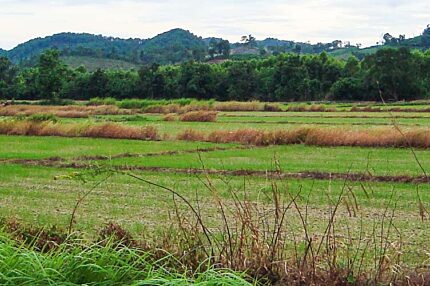 Phaya Mengrai, Chiang Rai
