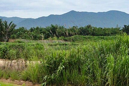 Thoeng, Chiang Rai