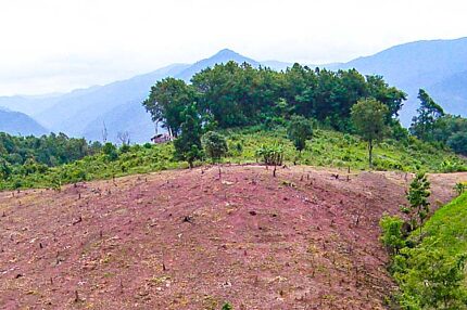Thung Chang, Nan