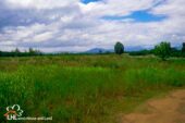 57528 Chiang Kham 015