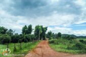 57528 Chiang Kham 024