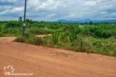 57528 Chiang Kham 043