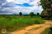 57528 Chiang Kham 079