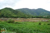 Ban Muengkan L57522 01