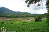 Ban Muengkan L57522 02