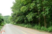 Ban Muengkan L57522 07