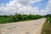 Chiang Saen Noi L57511 04