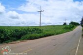 Tha Khao Pleuk 57512 10