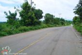 Tha Khao Pleuk 57512 14