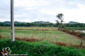Mengrai 57515 04