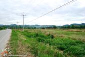 Mengrai 57515 10
