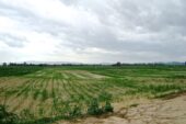Thoeng L57518 01