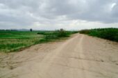 Thoeng L57518 02