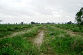 Thoeng L57518 05