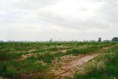 Thoeng L57518 06