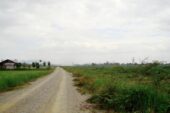 Thoeng L57518 07